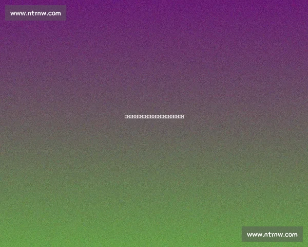 英超最新赛季全面解析球队战术表现与球星转会动态