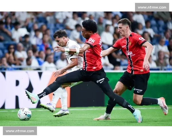 西甲在线平台全方位解析：观看赛事、了解球队、获取最新资讯尽在掌握